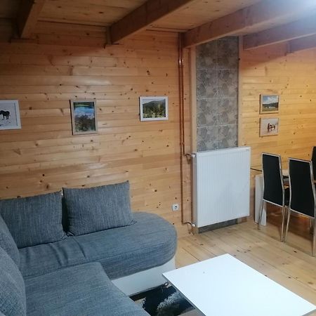Villa Zlatibor Brvnara Mir Exterior foto